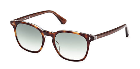 WEB WE036456P52 Sunglasses - Havana